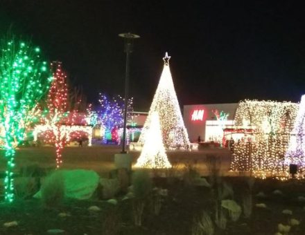 Orchard Christmas Lights thumbnail